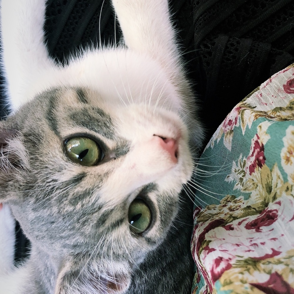 Meet your Posher, Blanca